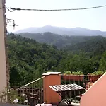 Venkovský dům Il Tulipano