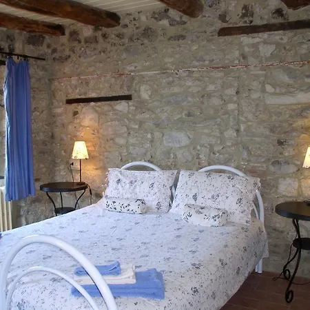 Il Tulipano