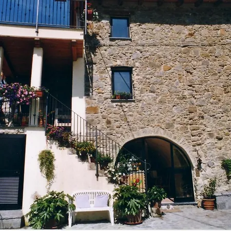 Il Tulipano *