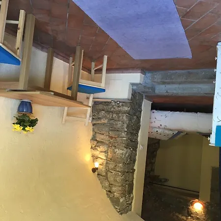 Il Tulipano Polverara