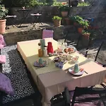 Il Tulipano Polverara