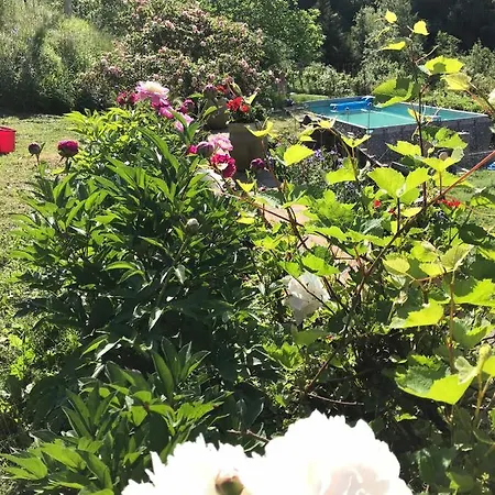 בית כפרי Il Tulipano Polverara