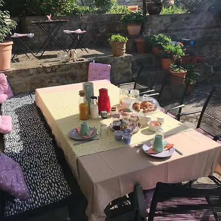 Il Tulipano Polverara