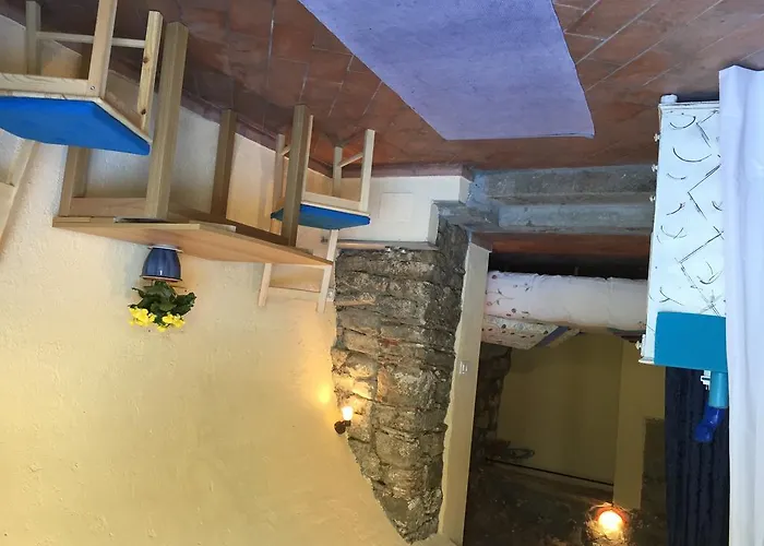 Il Tulipano Polverara