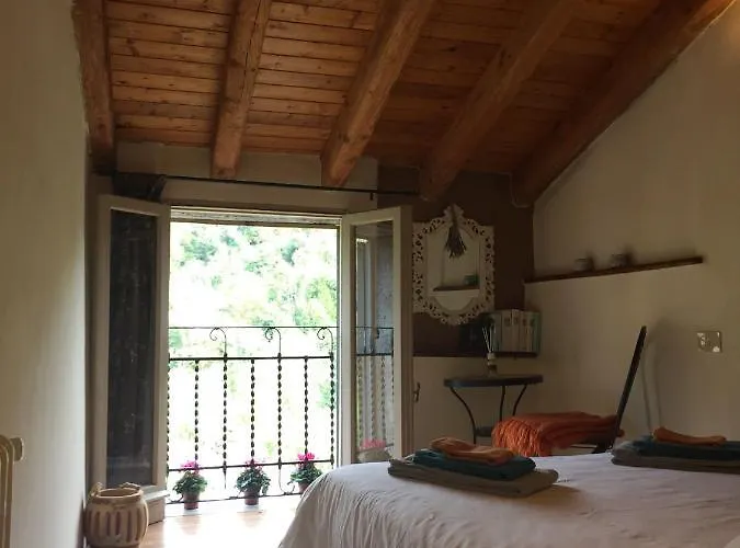 Il Tulipano * Polverara