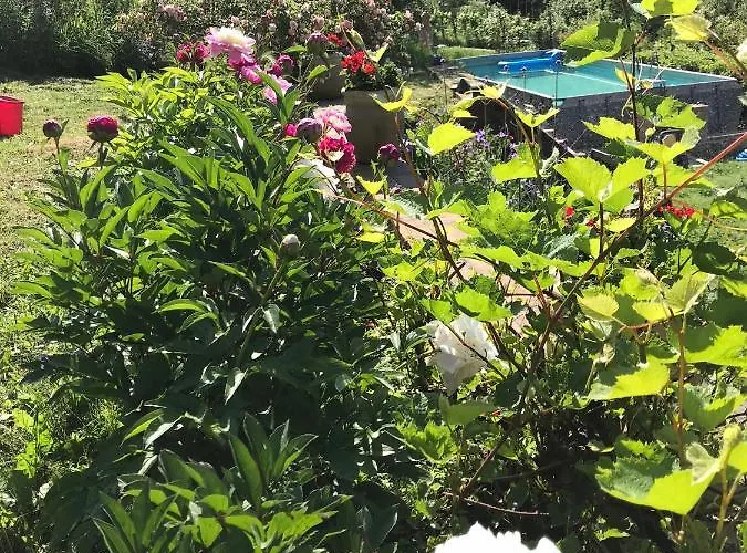 Landhuis Il Tulipano Polverara