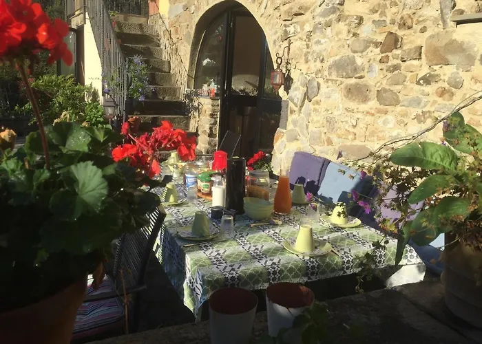 Il Tulipano * Polverara