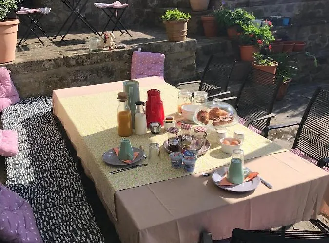 Il Tulipano Polverara